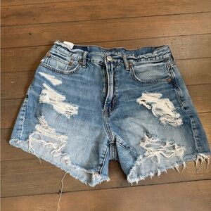 American Eagle Outfitters Women's Ripped Light Blue Jean Shorts